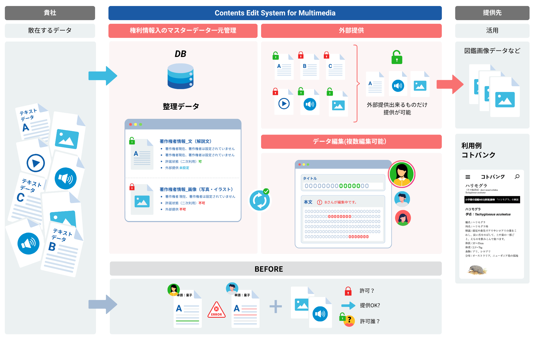 Contents Edit System for Multimediaの説明画像